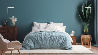 The three colours you should avoid using in your bedroom if you want a restful night's sleep - picture of a blue bedroom 
