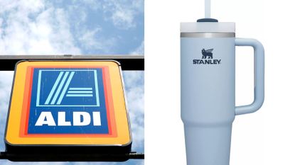 aldi stanley cup dupe